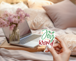 Joy To The World Stickers | Kindness mini decal pack, crafted with attention to detail, perfect for journals, planners, laptops, notebooks, phone cases and creative projects, supporting personal reflection through simple visuals. - Image 4
